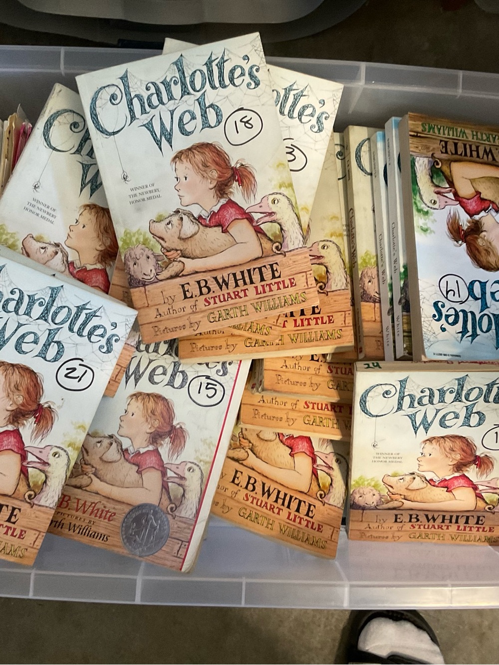 24 copies of Charlotte’s Web